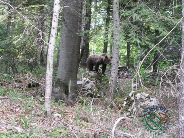 Naturpark Velebit 42